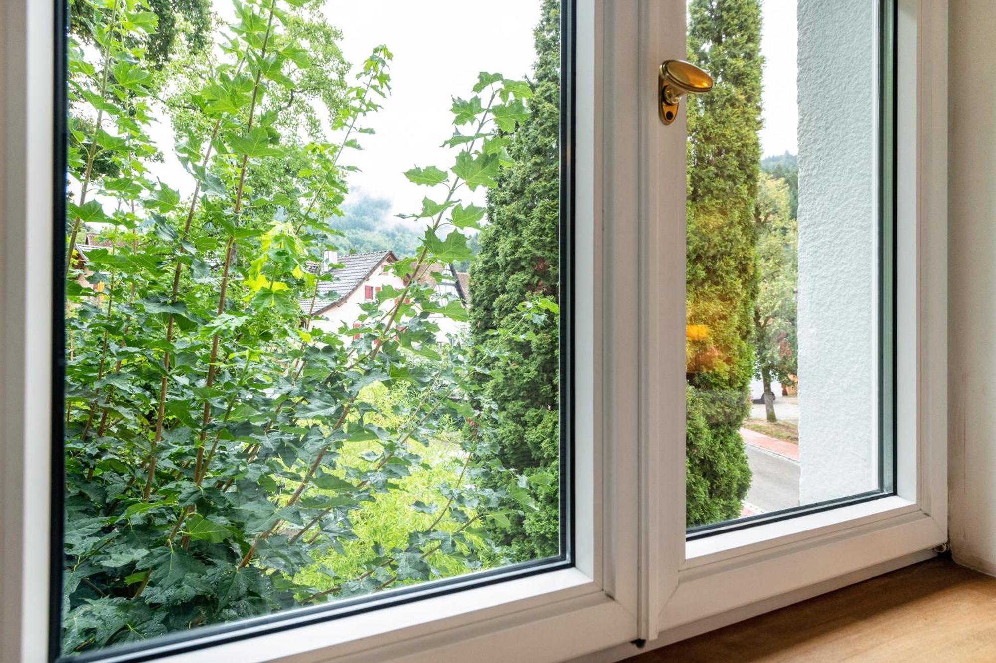 Appartement Waldhorn Badenweiler Exterior foto